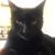 Perla Robinson's profile image