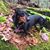Jill Newman Laurendeau's profile image
