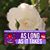 Marla Rosenthal's profile image