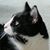 Rose Briar's profile image