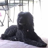 Gale Michel's profile image