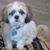 Darlene Kornacker's profile image