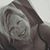Julie Fleming Barringer's profile image