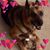 Sharon G. Smith's profile image
