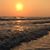 Lori Rader-Howard's profile image