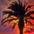 Sue Ann Hackman Fluegemann's profile image