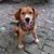 Tammy Nolte Sigrist's profile image