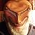 Sean Nagle's profile image