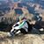 Yesica Hernandez Ferrando's profile image
