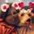 Melissa Beck's profile image