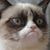 Ashley Yakeley's profile image