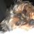 Deb Hubbard Barker's profile image