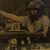 Lois Laney's profile image
