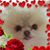 Misty Fair's profile image