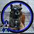 Tori Nelson's profile image