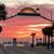 Donna Hall Horton's profile image