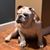 Barb Murtagh's profile image