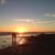 Frances Dalecio's profile image