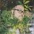 Rolf Fjenn's profile image