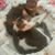Christine Rudrud's profile image