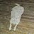 Sue Kocisky's profile image