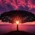 Bonni Martin's profile image