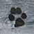 Tina North Stacey's profile image