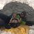 Leif Miller's profile image