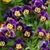 Charmaine Dunlap's profile image