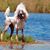 Angie Louter's profile image