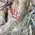 Thanh Vuong's profile image