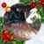 John Thomas Hackbarth Jr's profile image