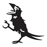Rafael G.'s profile image