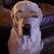 Anne Bastien Porter's profile image