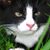 Leonie Denne's profile image