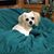 Donna Morris's profile image