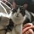 Melissa Coffey McKenna's profile image