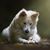 Brenda Nanney's profile image