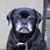 Ron Cheney's profile image