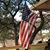 Patty Zamorsky's profile image