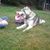 Valerie Houck's profile image