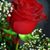 Yessenia Cavero's profile image
