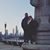 Mattea Pogorels's profile image