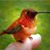 Rita Moore's profile image