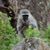 Rob Elliott's profile image