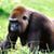 John Copek's profile image