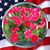 Dianne Mortimer O'Neill's profile image