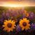 DaLee Cronebach Karr's profile image