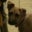 Erix Addessi's profile image