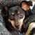 Willow Rose's profile image